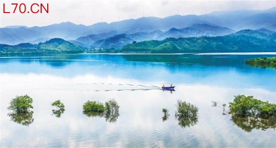 湿地画卷