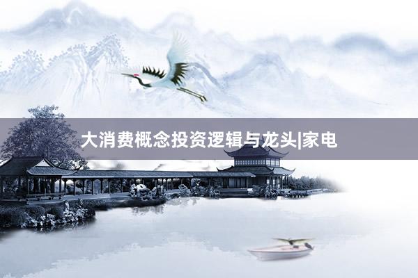 大消费概念投资逻辑与龙头|家电