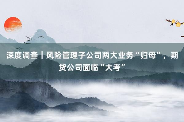 深度调查|风险管理子公司两大业务“归母”,期货公司面临“大考”
