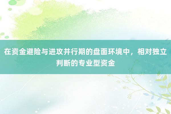 在资金避险与进攻并行期的盘面环境中，相对独立判断的专业型资金