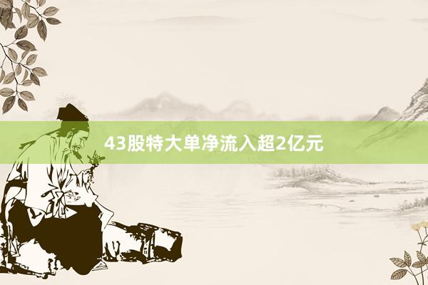 43股特大单净流入超2亿元