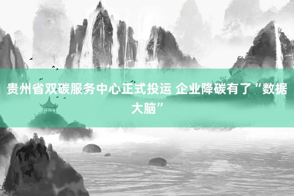 贵州省双碳服务中心正式投运 企业降碳有了“数据大脑”
