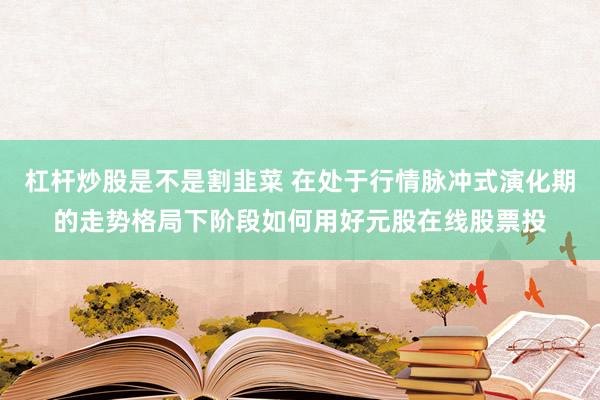 杠杆炒股是不是割韭菜 在处于行情脉冲式演化期的走势格局下阶段如何用好元股在线股票投