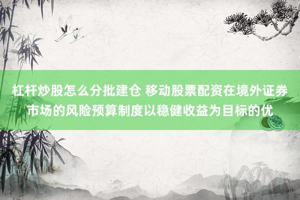 杠杆炒股怎么分批建仓 移动股票配资在境外证券市场的风险预算制度以稳健收益为目标的优